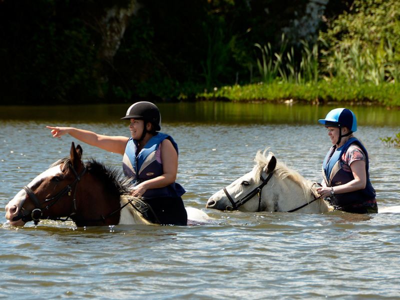 Swimming With Horses4