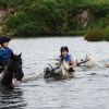 Swimming With Horses5