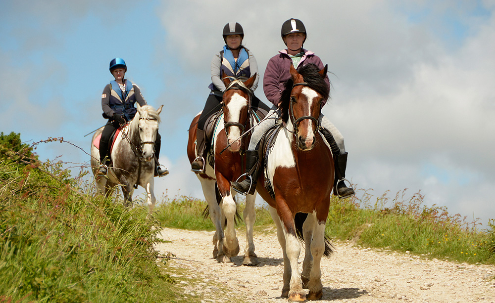 adult-horse-riding-cornwall