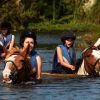 Swimming With Horses2