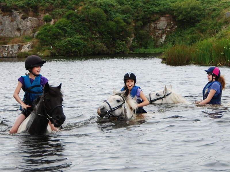 Swimming With Horses5