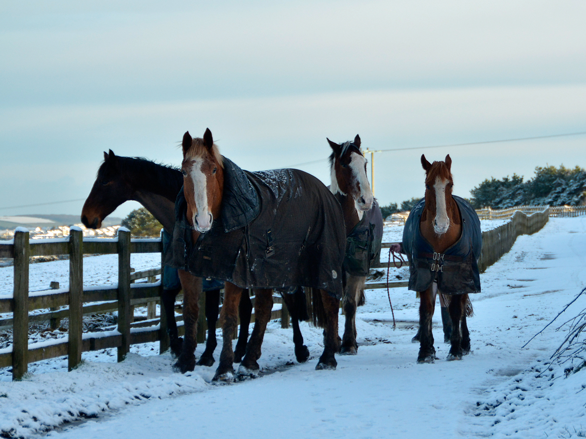 Winter is on its way.