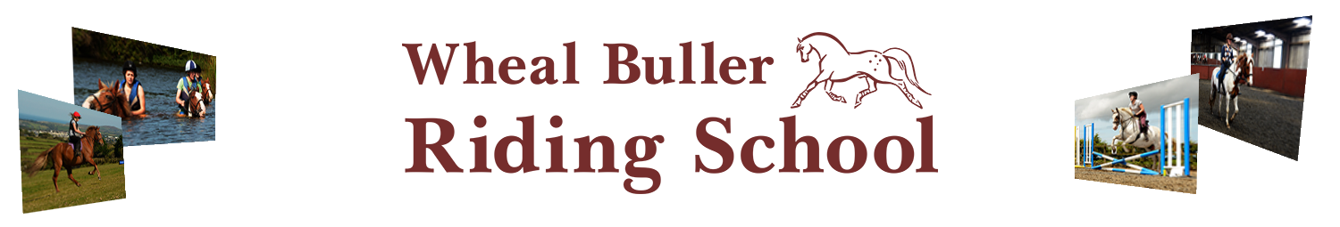 Wheal Buller Riding School