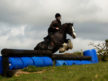horse jumping in cornwall