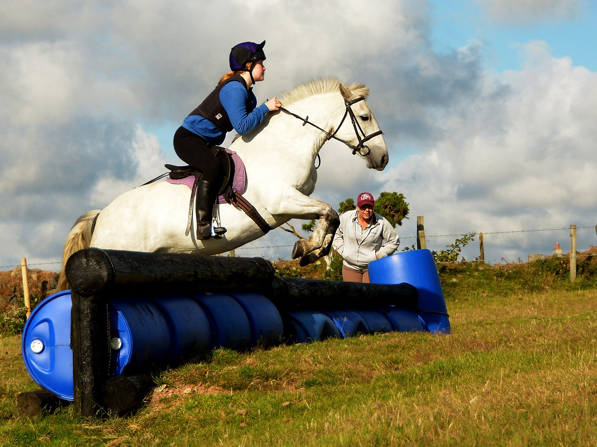 horse jumping lessons cornwall