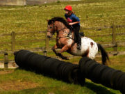 cross country horse lessons in cornwall