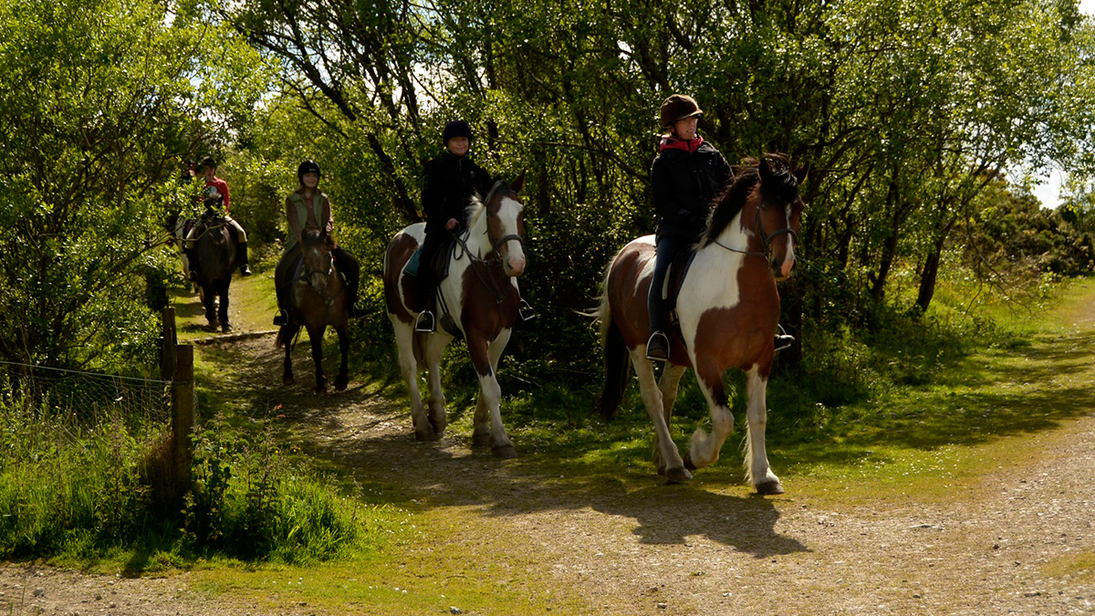 horse trekking at the wheal buller riding school in cornwall