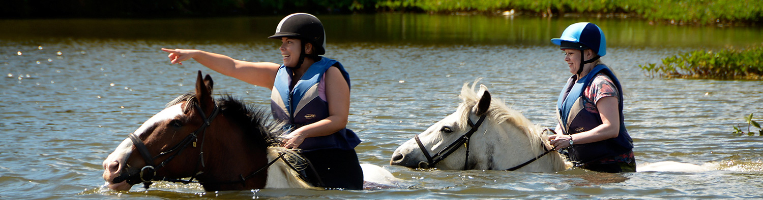 swimming on horseback