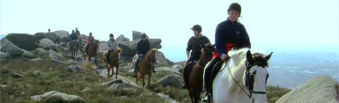 The Carn Brea Castle